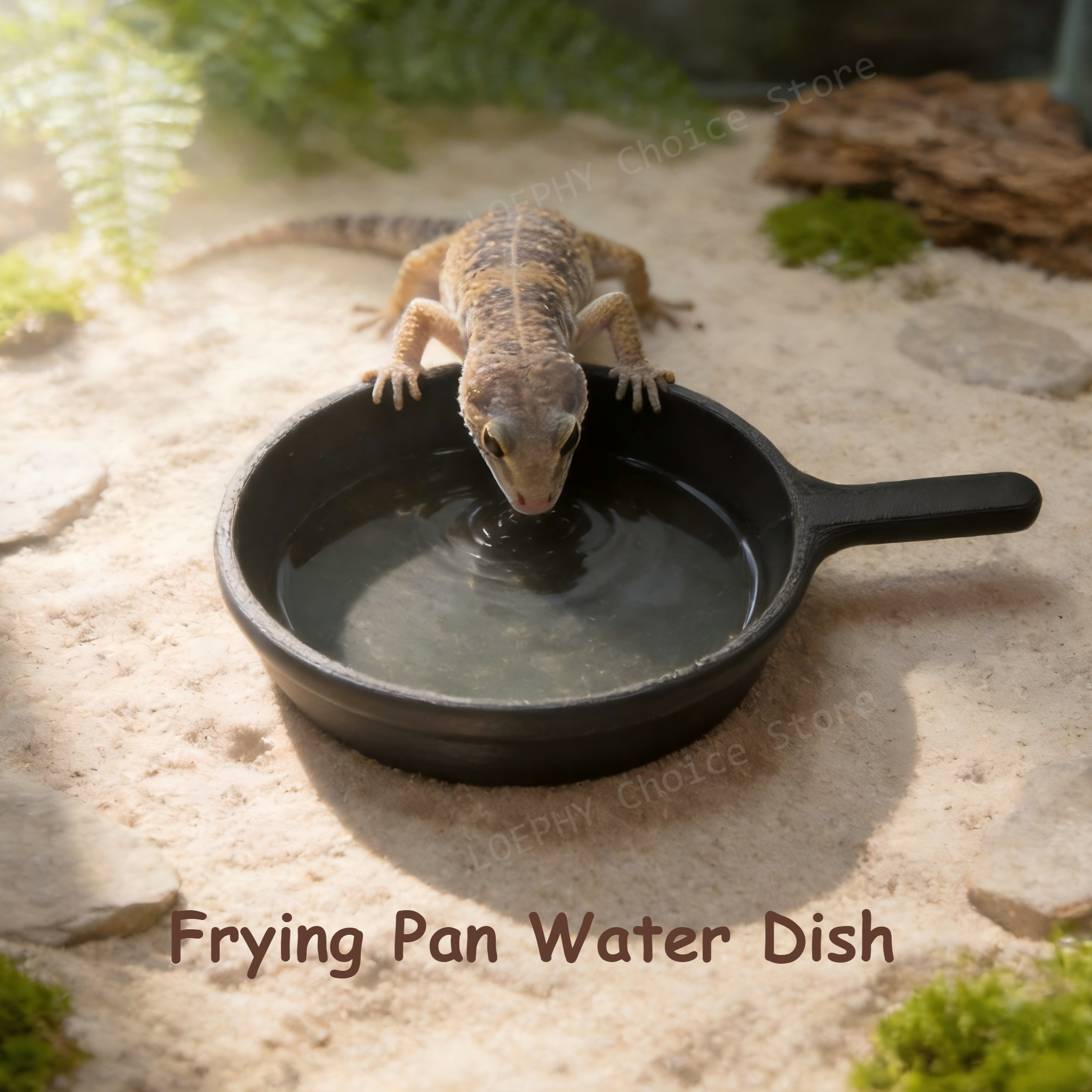 Commercial Kitchen Pots And Pans - Funny Frying Pan Design Gecko Water