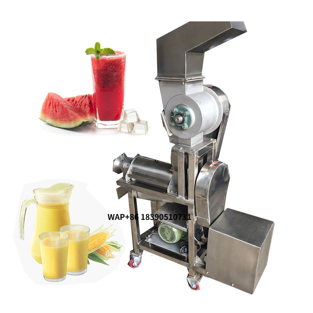 Indsturial Commercial mango Pu - Juice Extractor Commercial recensione e prezzo