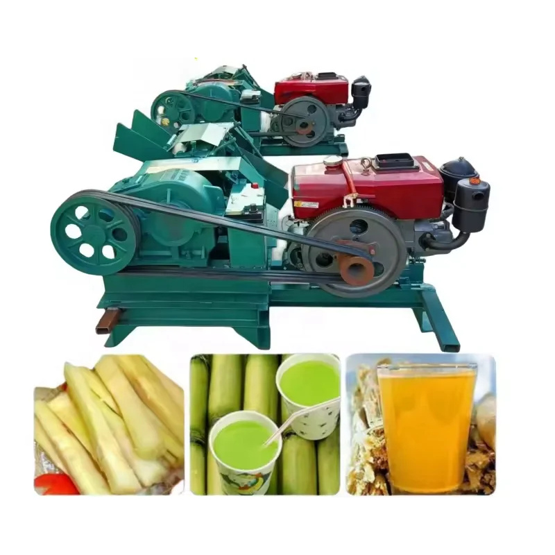 Commercial Industry Sugarcane  - Juice Extractor Commercial recensione e prezzo