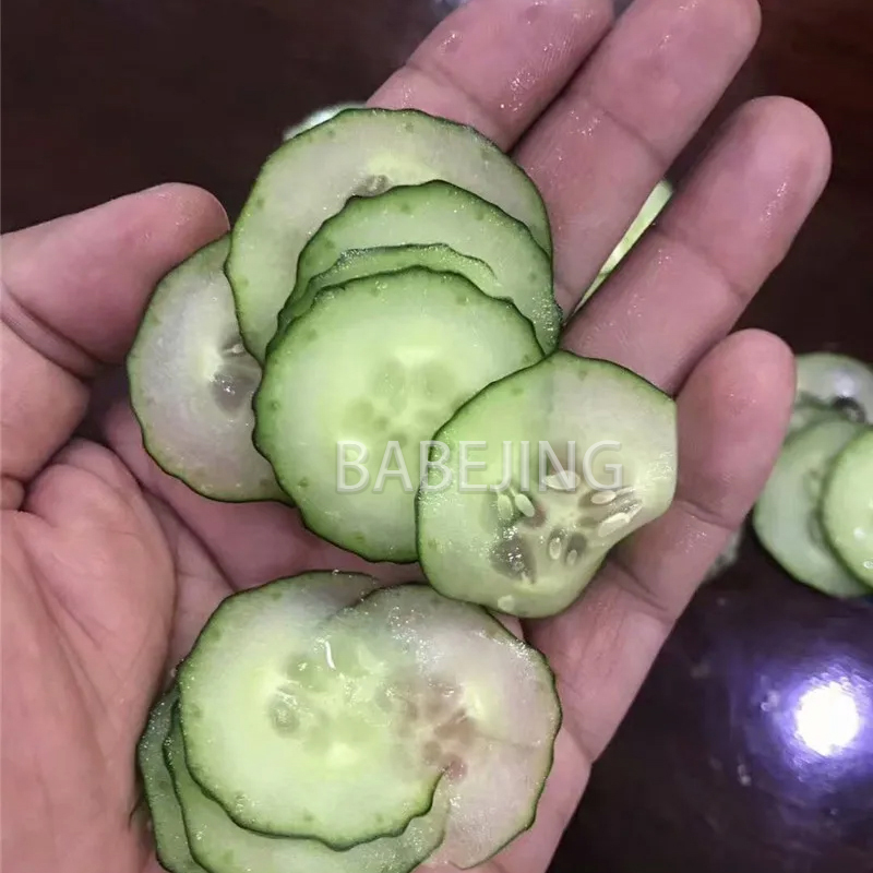 Electric Mini Scallion Chopper - Commercial Kitchen Appliances recensione e prezzo