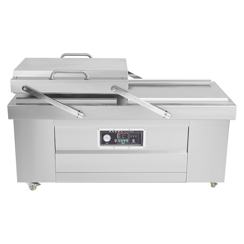 Double Vacuum Sealing  DZ-800- - Commercial Kitchen In Home recensione e prezzo